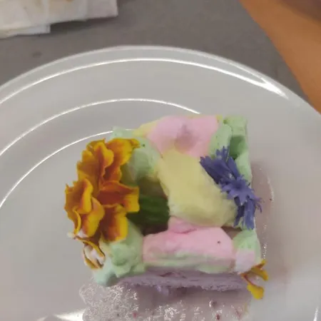 Fabbri's Hotel Cesenatico