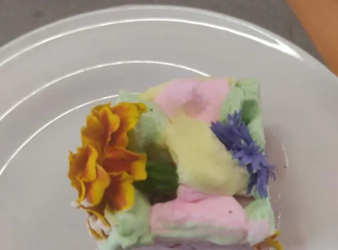 Fabbri's فندق تْشيزيناتيكو